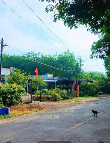 Bán Đất 430m² thổ cư 100m² giá 400 triệu tại Đường DH510 Xã An Linh Huyện Phú Giáo Bình Dương