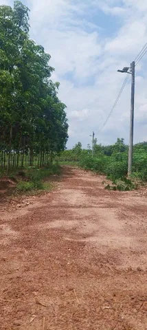 Bán Đất 215m² thổ cư 100m² giá 350 triệu tại Xã An Linh Huyện Phú Giáo Bình Dương