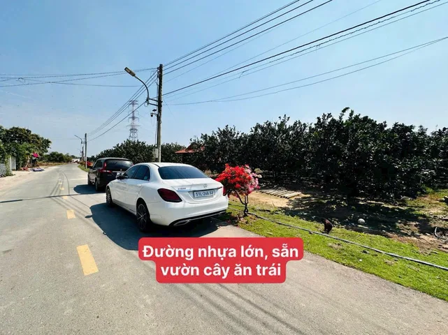 Bán Đất 250m² thổ cư 100m² giá 895 triệu tại Xã Trừ Văn Thố Huyện Bàu Bàng Bình Dương