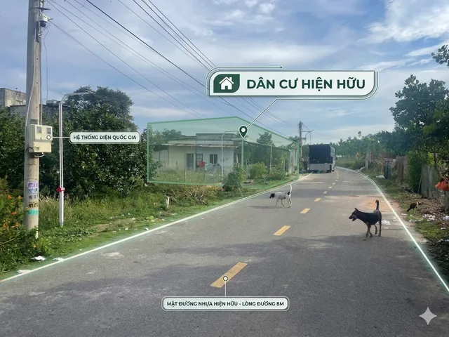 Bán Đất 2200m² thổ cư 100m² giá 115 triệu tại đường Trừ Văn Thố Xã Trừ Văn Thố Huyện Bàu Bàng Bình Dương