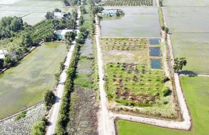 Bán đất mặt tiền kênh xã Tân Thành, Thủ Thừa dt 1000m2 (290m2 thổ) đường đá xanh oto giá 1,15 tỷ