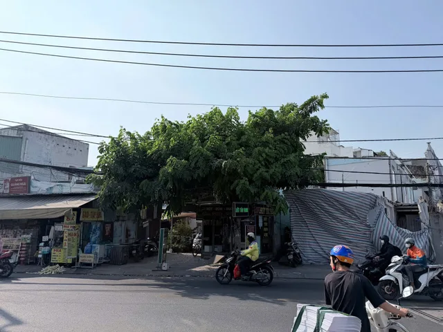 Bán Nhà Mặt Tiền 326-328 Thoại Ngọc Hầu, Phú Thạnh, Tân Phú