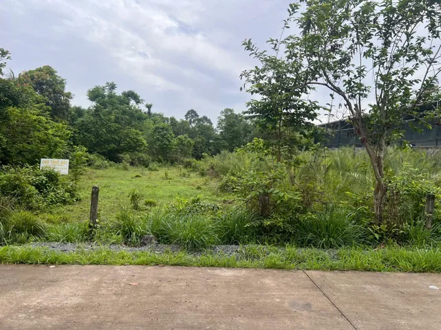 Bán Đất 800m² thổ cư 150m² giá 1.65 tỷ tại Thị trấn Củ Chi Huyện Củ Chi TP. Hồ Chí Minh