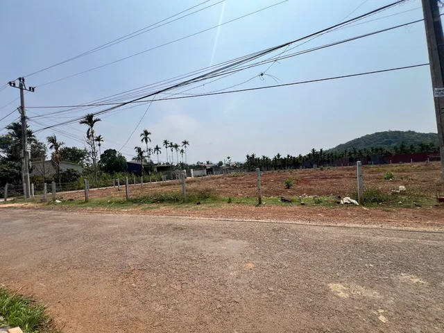 KOM LEO - 10*40 - TC 40 - TÂY