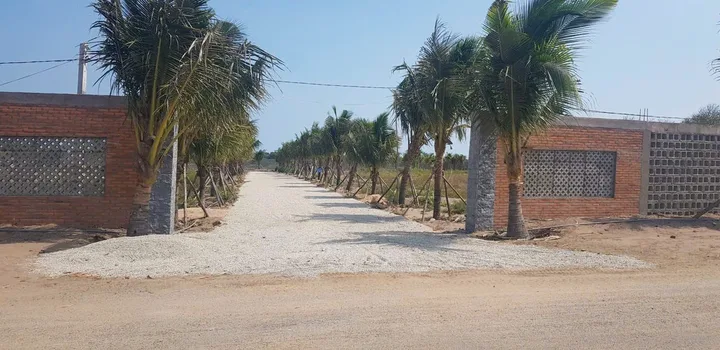 Bán Đất 8757m²  tại Hồ Tràm, thành phố Hồ Chí Minh