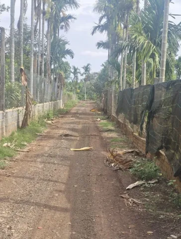 Bán Đất 1200m² giá 2.75 tỷ tại Phường Tân Lập Đắk Lắk