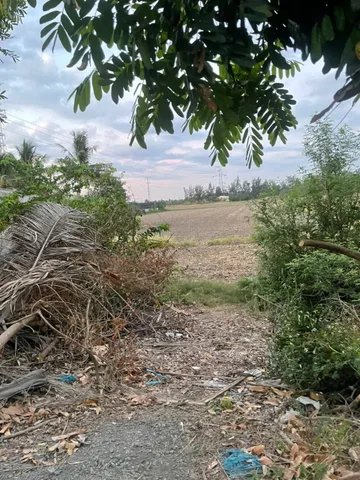 Bán Đất 4560m² giá 18.2 tỷ tại Xã Tân Nhựt Huyện Bình Chánh TP. Hồ Chí Minh
