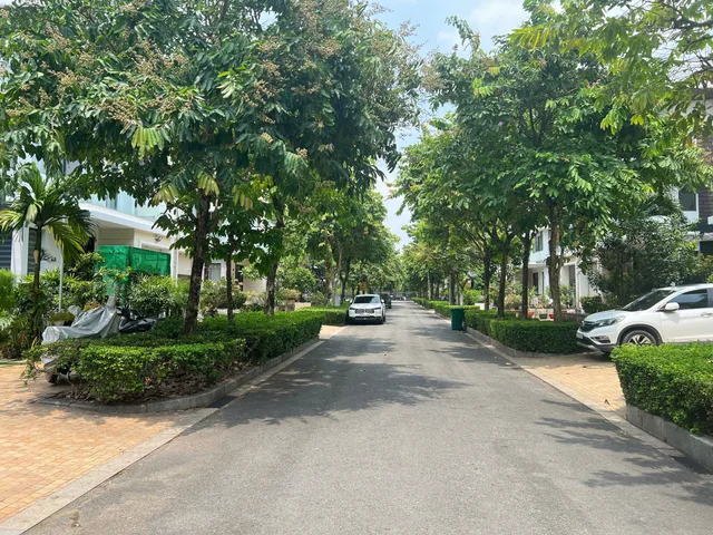 Bán Nhà riêng 240m² thổ cư 240m² giá 52 tỷ tại Phường Tân Quy Quận 7 TP. Hồ Chí Minh