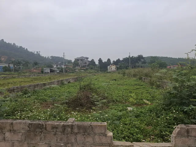 Bán Đất 100m² thổ cư 100m² giá 4.5 tỷ tại Xã Yên Xuân Hà Nội