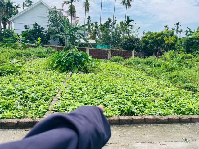 Bán Đất 62.6 m  giá 1.98 tỷ tại Lâm Động, Thuỷ Nguyên Hải Phòng.l/h:076.231.9990 em Thúy