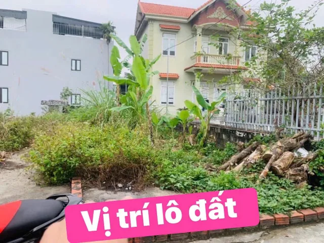 Bán Đất 70m² giá 1.89 tỷ tại Xã Thuỷ Đường Huyện Thuỷ Nguyên Hải Phòng