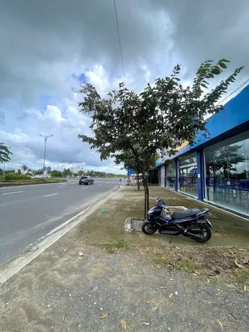 Bán Đất 1950m² giá 12 tỷ tại Đường Võ Nguyên Giáp Xã Diên Toàn Huyện Diên Khánh Khánh Hòa