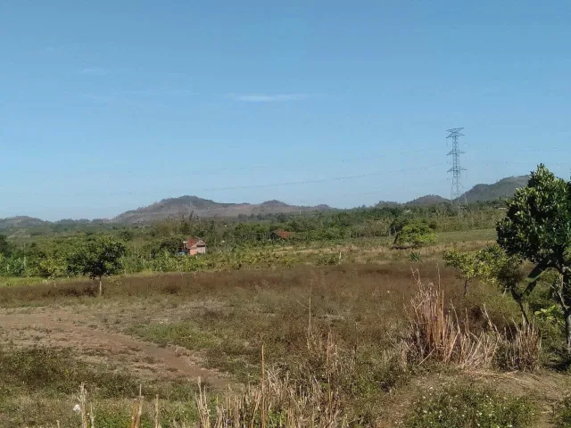 Bán Đất 9600m² giá 1.55 tỷ tại Xã Ea M’Droh Đắk Lắk