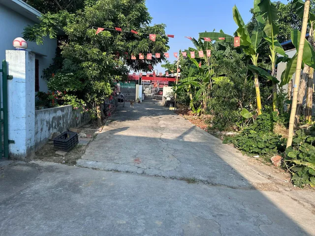 3KT168 🔥 HÀNG HIẾM THỌ XUÂN – THỊ TRẤN NÚI ĐỐI – KIẾN THỤY 🔥
💥 Chỉ hơn 10 triệu/m² – ô tô đỗ cửa – trung tâm tiện ích 💥