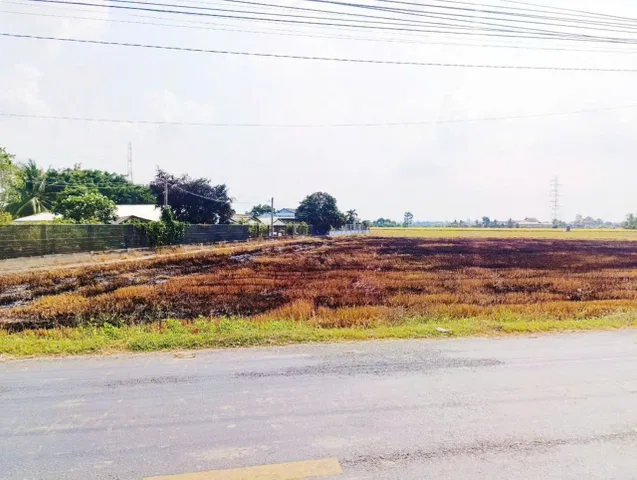 Bán đất lúa mặt tiền ĐT 833C xã Quê Mỹ Thanh, Tân Trụ dt 1000m2 giá chốt 2,59 tỷ