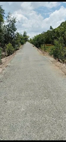 Bán Đất 14000m² giá 3.3 tỷ tại Xã Thạnh Hoà Huyện Tân Phước Tiền Giang