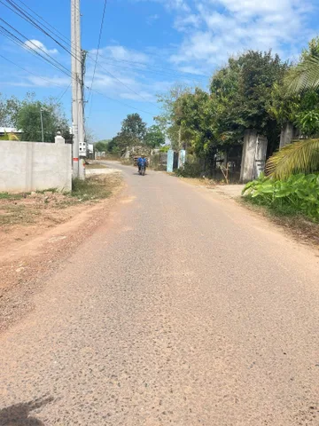 Bán Đất 225m² thổ cư 100m² giá 500 triệu tại Xã Minh Thạnh Huyện Dầu Tiếng Bình Dương