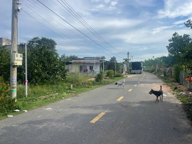 Bán Đất 1100m² thổ cư 100m² giá 960 triệu tại Thị trấn Lai Uyên Huyện Bàu Bàng Bình Dương