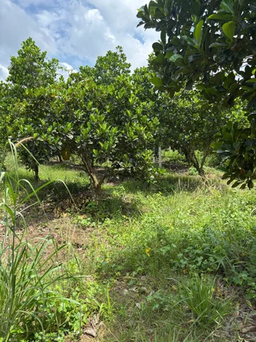 Bán Đất 500m² thổ cư 100m² giá 800 triệu tại Phường Chánh Phú Hòa TP. Hồ Chí Minh