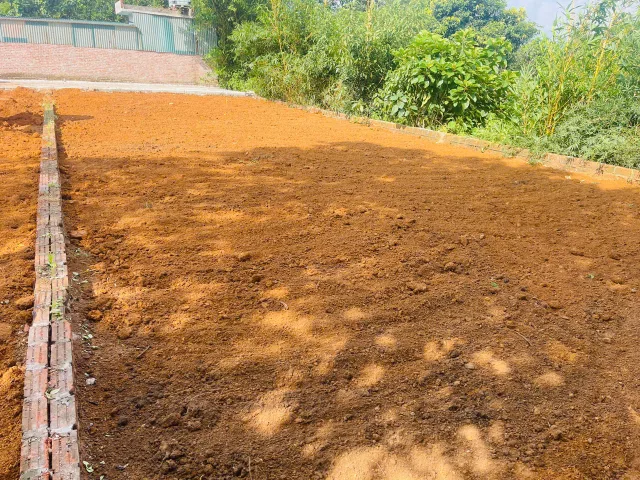 Bán Đất 212m² thổ cư 60m² giá 6.5 tỷ tại Xã Phú Cát Hà Nội