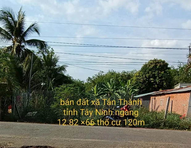 Bán Đất 886m² thổ cư 120m² giá 1.1 tỷ tại Đường Tân Thành 73 Xã Tân Thành Tây Ninh