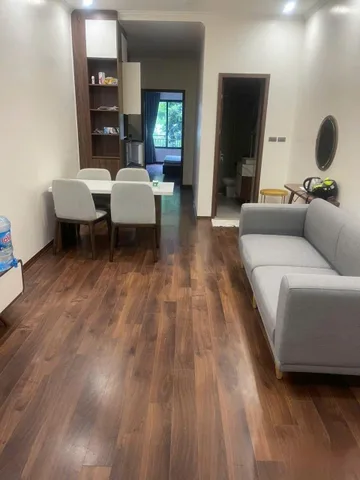Cho thuê CCMN 70m² giá 50 triệu/ tháng tại Đường Lê Đại Hành Phường Hai Bà Trưng Hà Nội