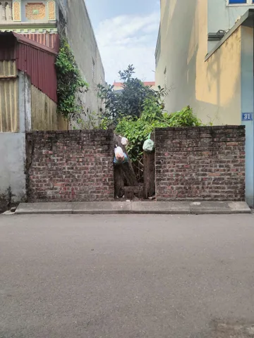 Bán Đất thổ cư 60,6m² giá 8.48 tỷ tại Lực Canh Xuân Canh Xã Đông Anh Hà Nội