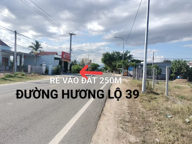 Bán Đất 100m² thổ cư 100m² giá 529 triệu tại Đường Liên Tổ Xã Suối Tiên Huyện Diên Khánh Khánh Hòa