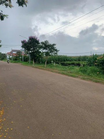 GIÁ RẺ NHẤT KHU VỰC CHỈ 550TR. LÔ 5X45 = 225M² THỔ CƯ 100M². ĐƯỜNG NHỰA. SỔ HỒNG RIÊNG. TP.HCM