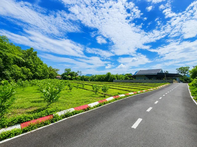 Bán Đất giá 185 triệu/ lô tại Xã An Bình Huyện Lạc Thủy Hòa Bình