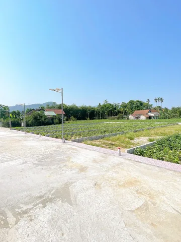 🔥 470 TRIỆU SỞ HỮU ĐẤT KIM TRÀ – CƠ HỘI TỐT ĐỂ SỞ HỮU BĐS AN TOÀN