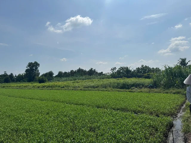 Chính chủ bán đất đường Đông Thạnh 2 - gần sông Rạch Tra