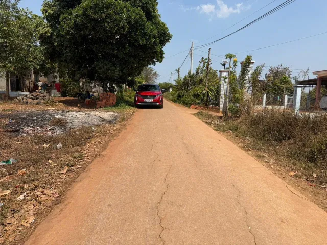 BÁN CƯ SUÊ TRỤC CHÍNH CF TÂN LINH