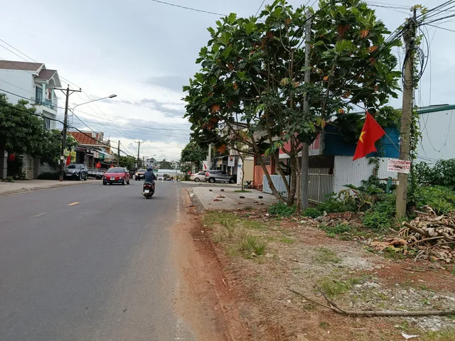Bán Đất 90m² thổ cư 90m² giá 5.2 tỷ tại Phường Lộc Sơn Thành phố Bảo Lộc Lâm Đồng