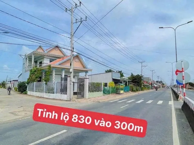 Bán Đất 194m² thổ cư 194m² giá 950 triệu tại Đường ĐT 830 Xã Long Cang Huyện Cần Đước Long An