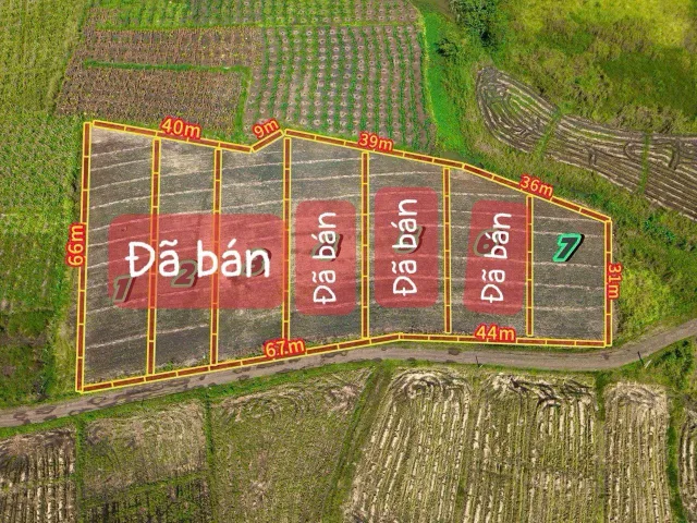 Bán Đất 6746m² giá 139 triệu tại Xã Ea Drông Thị xã Thị Xã Buôn Hồ Đắk Lắk