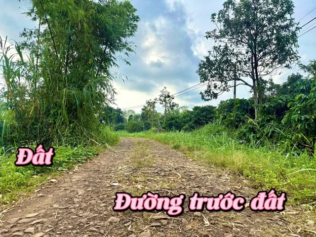 Bán Đất 460m² thổ cư 60m² giá 448 triệu tại Xã Phú Xuân Huyện Krông Năng Đắk Lắk