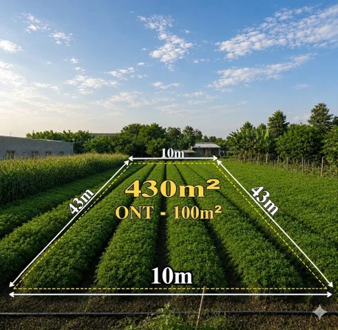 Bán Đất 430m² Nghĩa Thành - Gần KCN Sonaderzi