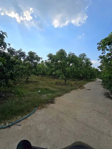 Bán Đất 10775m2 có sẵn 188 m2 thổ cư giá 4.5 tỷ tại Đường 101B (Xã La Ngà) Xã La Ngà Huyện Định Quán Đồng Nai