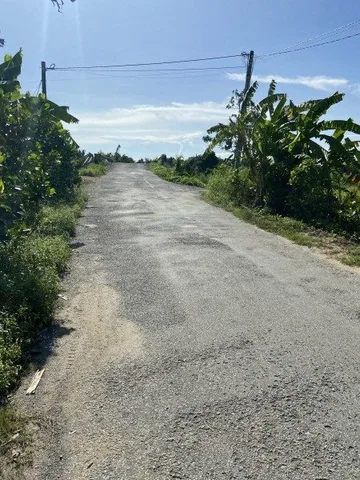 Bán Đất 24500m² giá 47.77 tỷ tại đường Quốc Lộ 61C Xã Nhơn Ái Huyện Phong Điền Cần Thơ