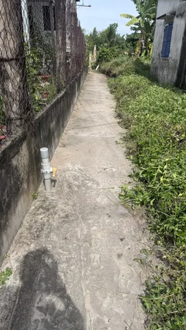 Bán Đất 84m² thổ cư 84m² giá 850 triệu tại Đường Nguyễn Hữu trí Xã Thanh Phú Huyện Bến Lức Long An