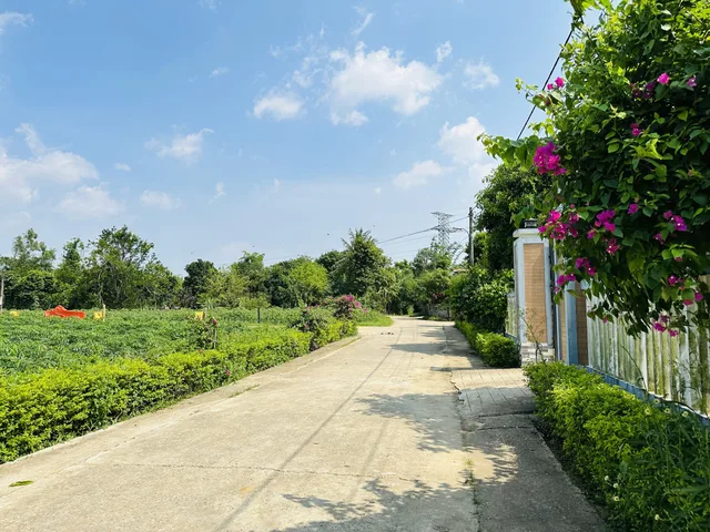 Bán Đất 378m² thổ cư 100m² giá 1.2 tỷ tại Xã Nam Trạch Huyện Bố Trạch Quảng Bình