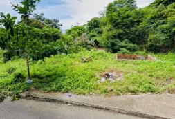🔥 SIÊU PHẨM QUỸ ĐẤT ĐẠI 2.300M² MẶT TIỀN ĐƯỜNG VIBA (P. THẮNG NHÌ) – VIEW NGẮM TOÀN THÀNH PHỐ – CÓ BÁN LẺ 500M² – GIÁ ĐẦU TƯ CHỈ 30 TR/M²! 🔥