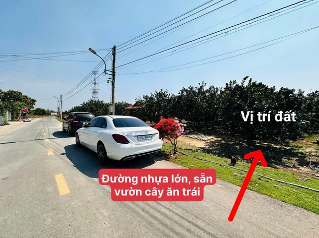 Bán Đất 500m² thổ cư 200m² giá 1.75 tỷ tại đường Tỉnh lộ 750 Xã Trừ Văn Thố Huyện Bàu Bàng Bình Dương