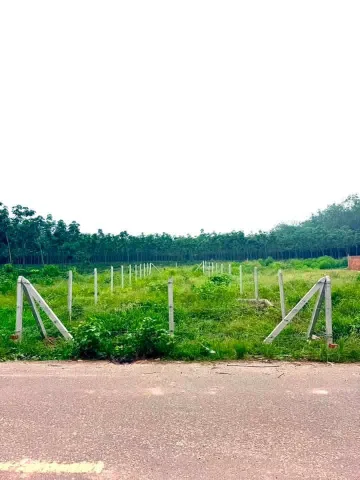 Ra gấp sang úc định cư 900m² thổ cư 400m² giá 545 triệu tại Đường ĐT 749B Xã Minh Thạnh Huyện Dầu Tiếng Bình Dương