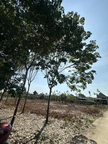 Bán Đất 200m² thổ cư 100m² giá 393.9 triệu tại Xã An Linh Huyện Phú Giáo Bình Dương