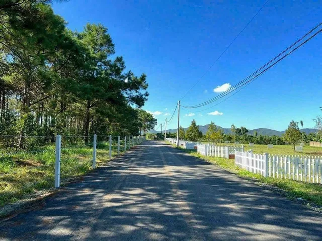 Dì Đang có 1500m² thổ cư 100m² ngay trung Tâm do không lên được đành bán giá 499tr