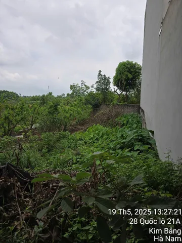 Bán Đất 100m² thổ cư 100m² giá 5 tỷ tại Đường Quốc lộ 21 Xã Phù Vân Thành phố Phủ Lý Hà Nam (Mặt Đường Lý Thường Kiệt - QL21A)