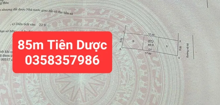 Bán đất Tiên Dược 85m vuông,full thổ cư ,mặt tiền 5m giá 1 tỉ 900