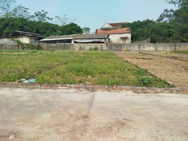 Hàng F0 thôn An Thịnh. xã Vật Lại, thành phố Hà Nội.